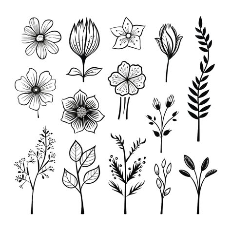 Flor Línea Arte Flora Clipart PNG Acuarela Flor Arte Lineal PNG