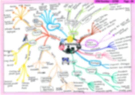 SOLUTION Bus Principle Of Management Business Organization Decision