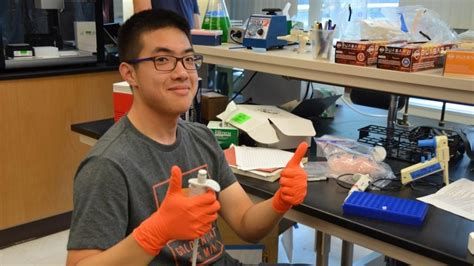 Team Stony Brook Experiments Igem Org