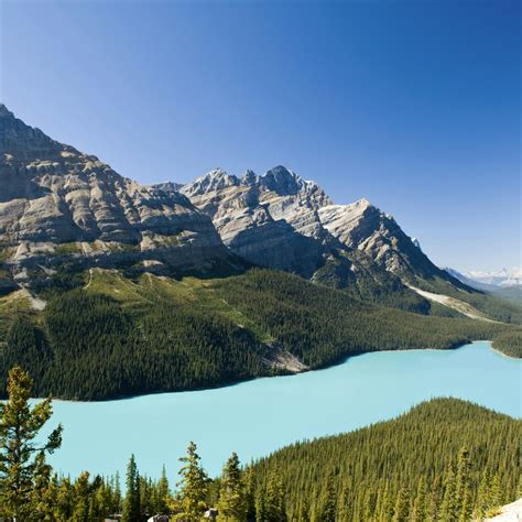 Jasper National Park travel - Lonely Planet | Canada, North America