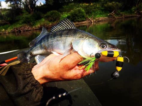 Мандула на судака: самые уловисты цвета и размеры, монтаж, проводки и ...