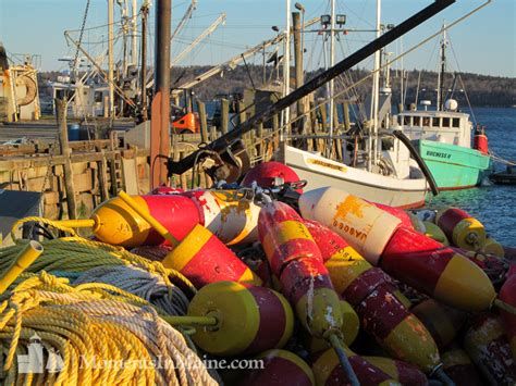 Moments In Maine Lobstering