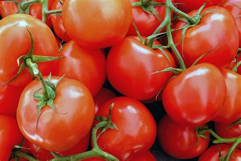 Tomatoes Vegetables Red Free Photo On Pixabay Pixabay