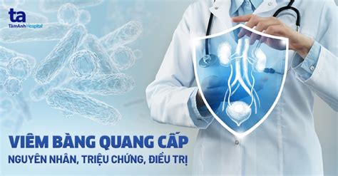 Cách Sử Dụng Thuốc Kháng Sinh điều Trị Viêm Bàng Quang Hiệu Quả Và Lưu ý