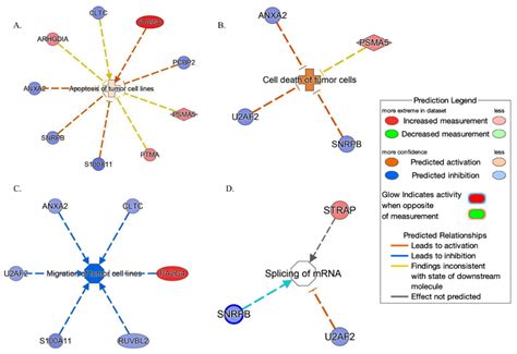 Ijms Free Full Text A Multi Omics Approach Revealed Common