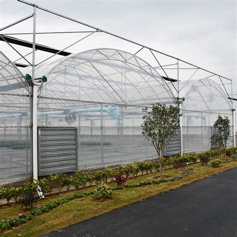 Custom Agriculture Multi Span Arch Plastic Film Greenhouse Tomato