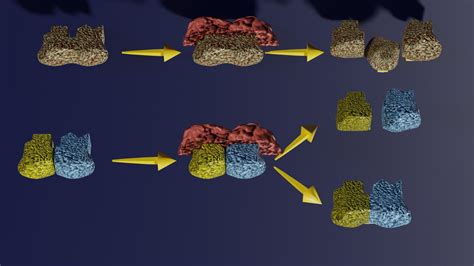 3D enzyme substrate reaction process - TurboSquid 2126226