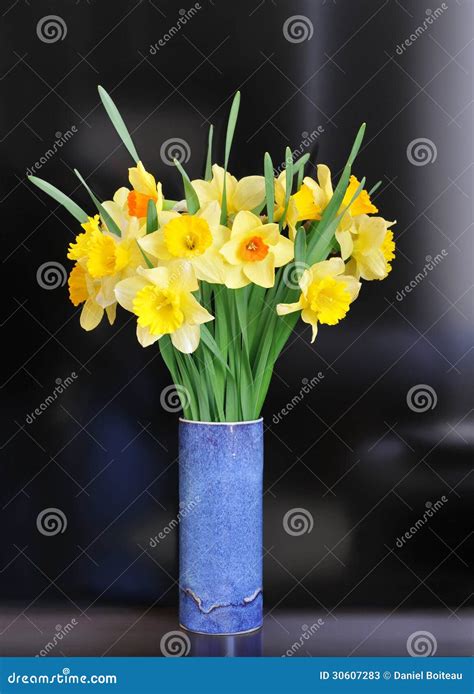 Daffodil Arrangement Stock Image Image Of Blue Orange 30607283