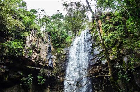 Guadalajara Excursi N Y Parque Natural De Mazamitla Getyourguide