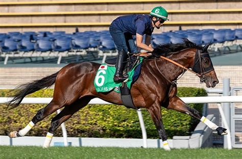 【香港ヴァーズ】レーベンスティールまさかの最下位「能力を全く出していません」モレイラ騎手 Jra Van World 海外競馬情報サイト