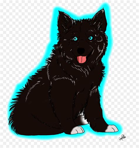 Schipperke Png Png Schipperke