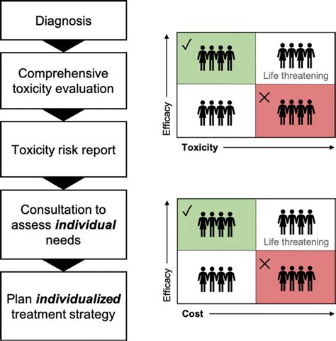 Conceptual Framework For Implementing Personalized Cancer Therapy That Download Scientific