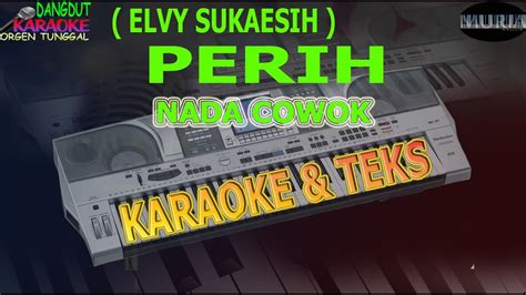 Karaoke Dangdut Perih Elvy Sukaesih Nada Cowok Kybord Kn Youtube