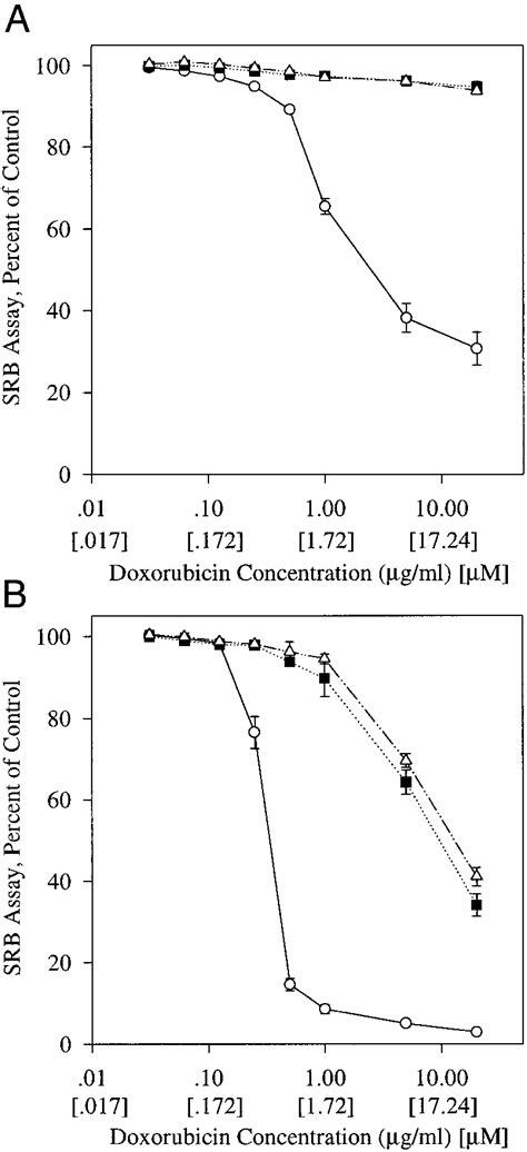 Cytotoxicity Effect Of Encapsulated And Nonencapsulated Dox On B F