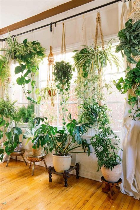 30 astuces déco pour mettre ses plantes en valeur Room with plants