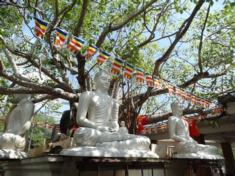 Seema Malaka Temple Colombo Stock Photo Image Of Buddhist Scenery