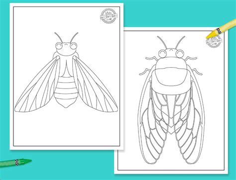 Cicada Coloring Pages For Kids Of All Ages Kids Activities Blog