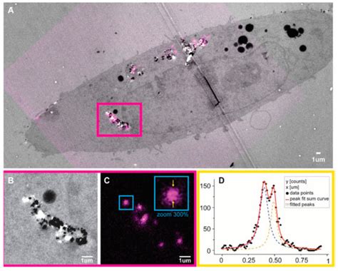 C Free Full Text Functionalization Of Carbon Nanomaterials For