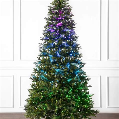 Sapin De Montagne Berkshire Sapin De Noel Reglable