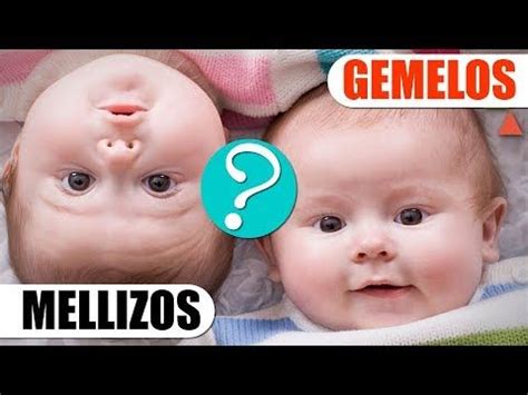 Cual Es La Diferencia Entre Gemelos Y Mellizos