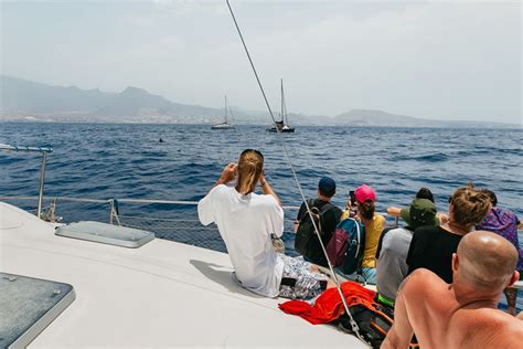 Costa Adeje Excursi N En Catamar N Para Avistamiento De Cet Ceos Con