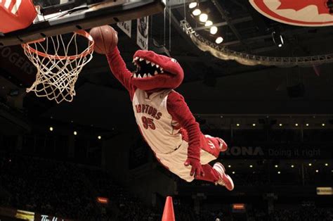 Raptors mascot out for year with Achilles injury