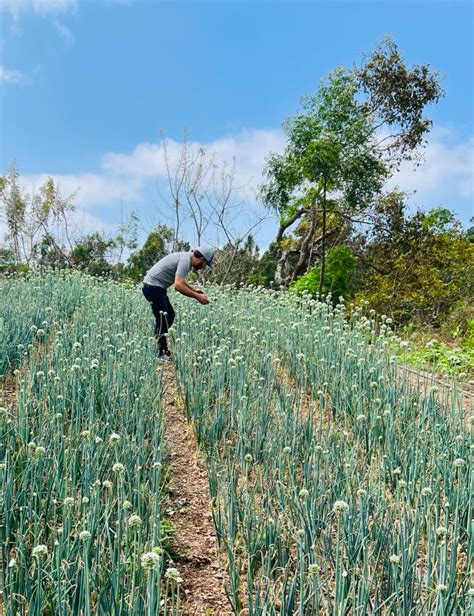 Productores Del Corredor Seco Aprenden A Fortalecer Cultivos Gobierno