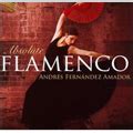 Andres Fernandez Amador Absolute Flamenco