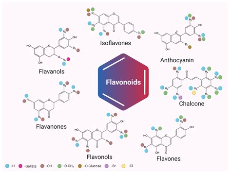 Plants Free Full Text Chemical Structure Sources And Role Of