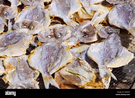 stockfisch stockfish  stock photo alamy