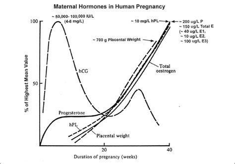 Various hormone levels during pregnancy | Download Scientific Diagram