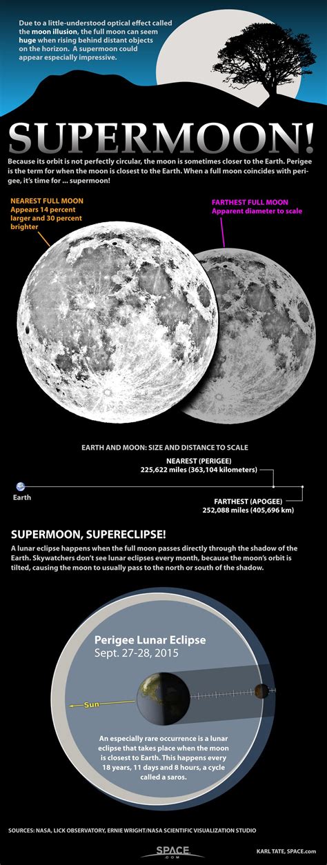 How The Supermoon Looks Infographic Space