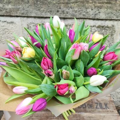 Bodleian Bouquet Buy Online Or Call