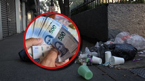 Cu Les Son Las Multas Por Tirar Basura Gu A Legal