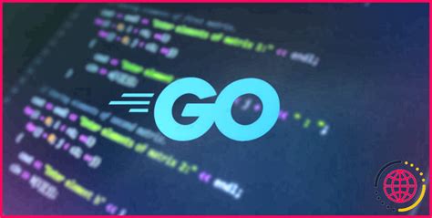 Comment Configurer Un Environnement De D Veloppement Go Sous Linux