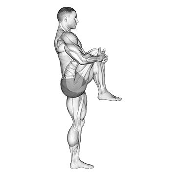 Standing Knee To Chest Stretch Guide Benefits And Form