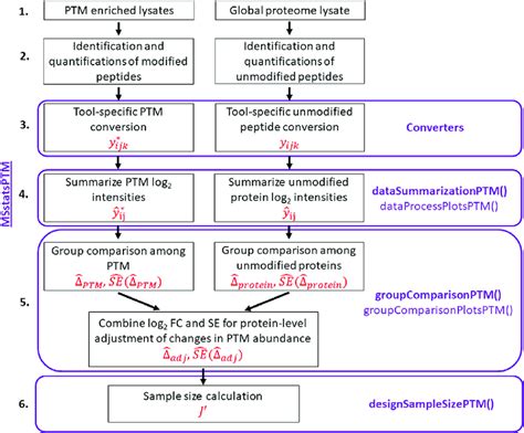 The MSstatsPTM Workflow The Names Of The MSstatsPTM R Functions Used