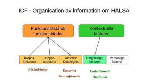 Icf Kartläggning Dövblindhet