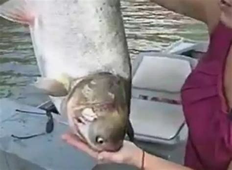 Hilarious News Blooper Caused by a Fish [VIDEO]