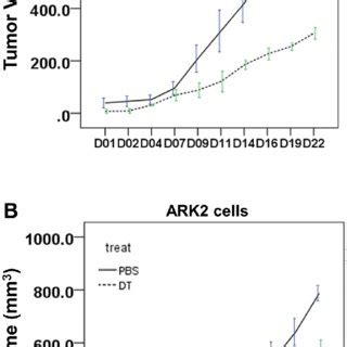 The In Vivo Anti Tumor Effect Of Dt On Xenograft Nude Mice Model