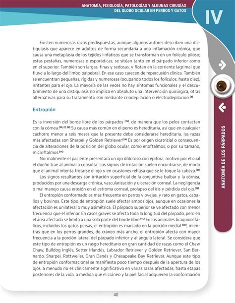 Anatomía fisiológia patologías y algunas cirugías del globo ocular en