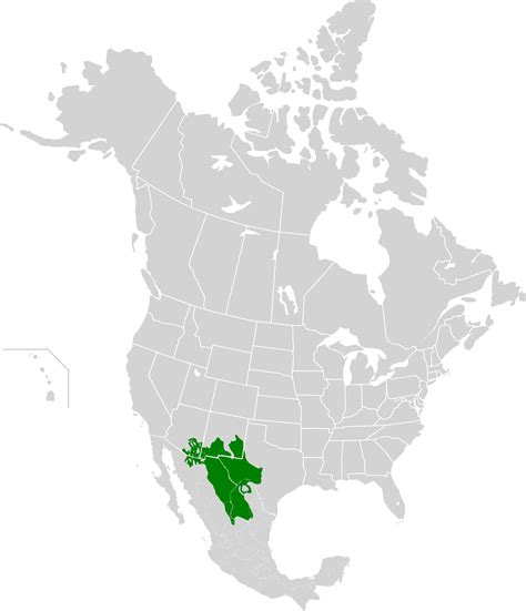 Image: Chihuahuan Desert map