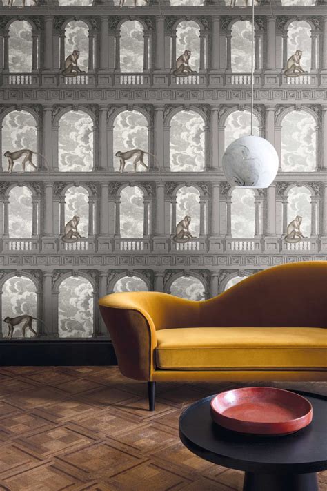 Procuratie Con Vista 114 8016 Fornasetti Senza Tempo Cole Son In