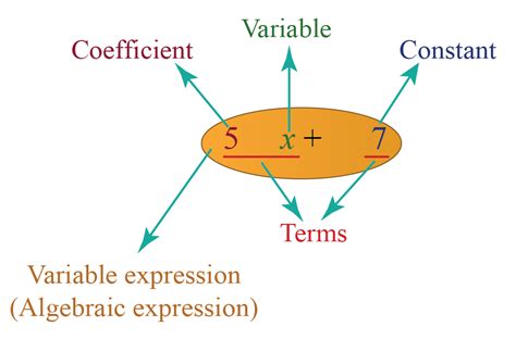 Variable Expressions Definition Solved Examples Questions