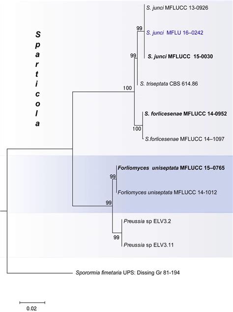 Phylogram Resulting From Maximum Likelihood Analysis Of The Combined