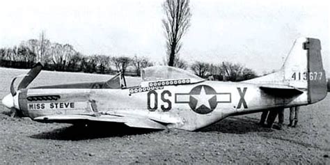 Legendary P-51 Mustang Shot Down in WWII