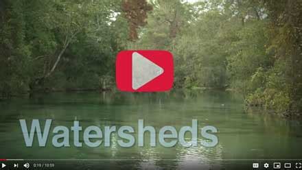 Watersheds | WaterMatters.org 