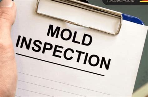 Hidden Threats: Mold Inspections Uncover What's Lurking - Fusion Power Tech
