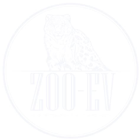 Rusty-Spotted Cat – Zoo-EV