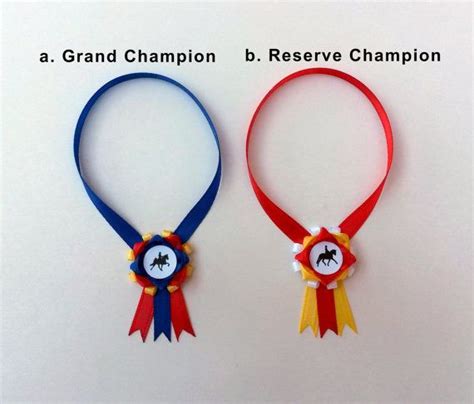 Deluxe Grand And Reserve Champion Model Horse Show Sashes For 19 Scale